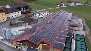Power-Bauer: Mühlviertler Hühnerstall produziert Strom Landwirtschaftskammer OÖ | LT1 OÖ