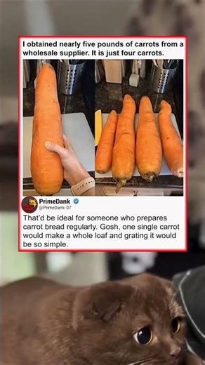 Those carrots are on steroids 🥕 | funny memes | relatable American memes | dank memes