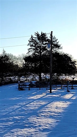 FREEZING FROZEN 7°F #frozen #snow #winter #travel #camping #truckcamper #sunrise