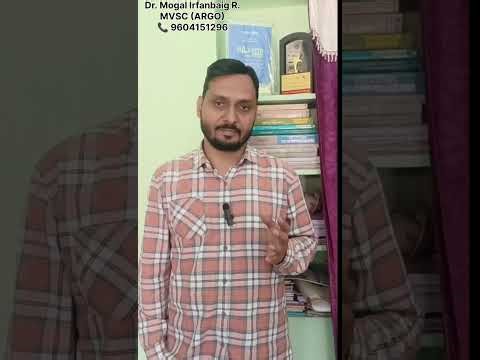 Embryo transfer in cow (भ्रूण प्रत्यारोपण)