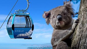 Kid-friendly activities every family must try