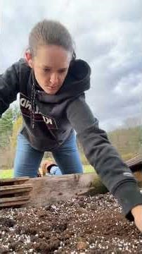 Cold frame for winter gardening