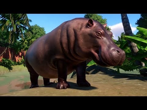 Planet Zoo - Hippopotamus Gameplay (PC HD) [1080p60FPS]