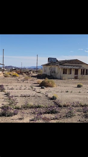 175K views · 2.7K reactions | Caminando por EAGLE MOUNTAIN GHOST TOWN, California | Railcart Little Fox | Facebook