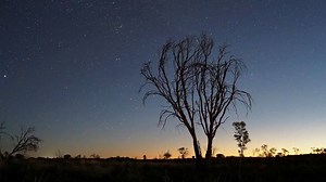 7.1K views · 100 reactions | “An eye-opening lesson for the world about the proud history and ongoing racial tensions that currently form the crux of the Australian experience” – Variety Stop by for Warwick Thornton's WE DON'T NEED A MAP on 26 January | ACMI | Facebook