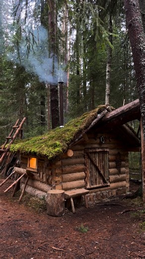 Asbjorn Olsen-Berg on Instagram: "How to clean fireplace glass using ash and moss #fireplace #howto #bushcraft #lifehack"