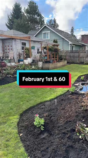 Mike’s Garden (@mikesgarden)’s videos with original sound - Mike’s Garden