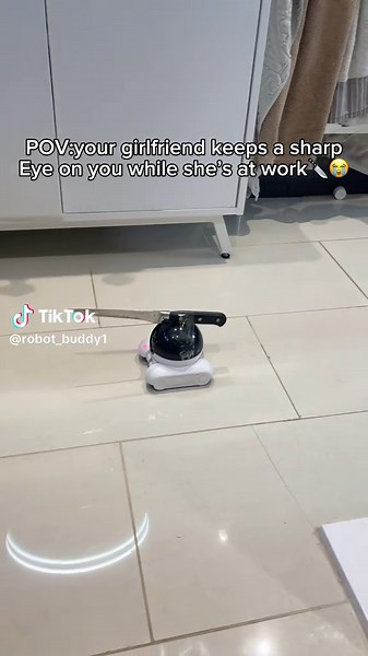 Long Distance Relationship Mini Robot Companion