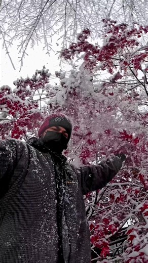 Magical Winter Wonderland: Snow Play Moments