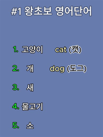 #1 왕초보 영어단어 15개 같이 외워봐요 영어는 재능이 아니라, 쌓이는 습관이다. 오늘의 단어 100개가 내일의 문장이 됩니다. 왕초보도 괜찮아요. 지금 시작하는 사람이 결국 가장 멀리 갑니다. #영단어 #영어공부 #영어 #영어회화 #영어단어 #영어말하기#영어듣기