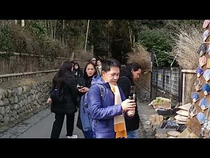 Arashiyama Bamboo Forest in Kyoto / Vlog Review No. 353