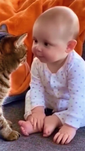 Baby Talking To Cat 😨 | Real Talking Cat Caught on Camera