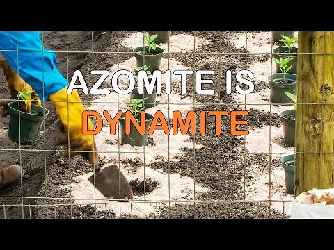 Azomite for a healthy body