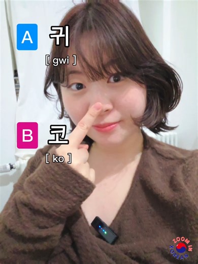 [ Vocabulary Quiz 🇰🇷 ] 👃 is 귀? 코? . . . . #korea #follow #learnkorean #studykorean #korean ··