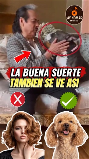 You’ve Been Dedicating This Los Tigres Del Norte Song Wrong All Along