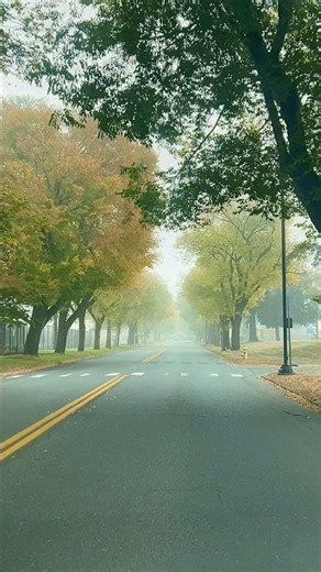 Take a drive and enjoy the peaceful beauty of autumn. The views are worth it! #shorts #viral #fyp