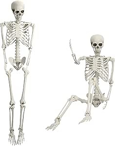 2 Packs 5.4ft Halloween Life Size Skeleton, Posable Halloween Skeleton Life Size Decor, Full Size Skeletons, Outdoor SkeletonHalloween Decorations (2*White)