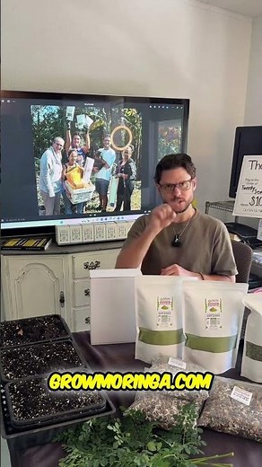 Grow Moringa HUGE End of Year Sale! 50% OFF!