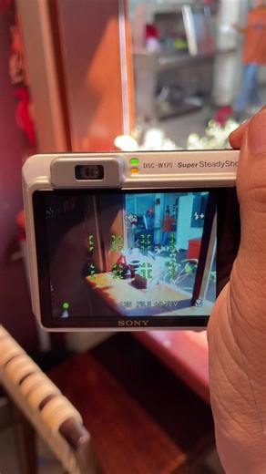 Explore the Sony Cyber-shot DSC W170: A Comprehensive Review