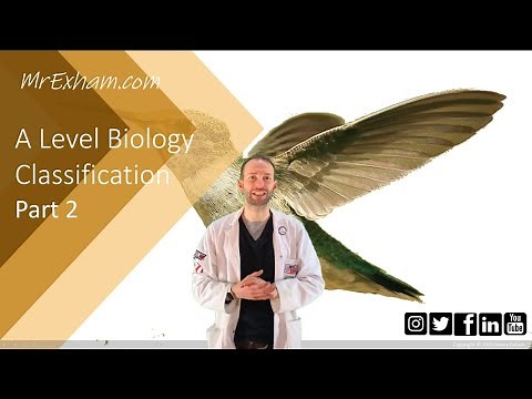 Classification Part 2 - A Level Biology