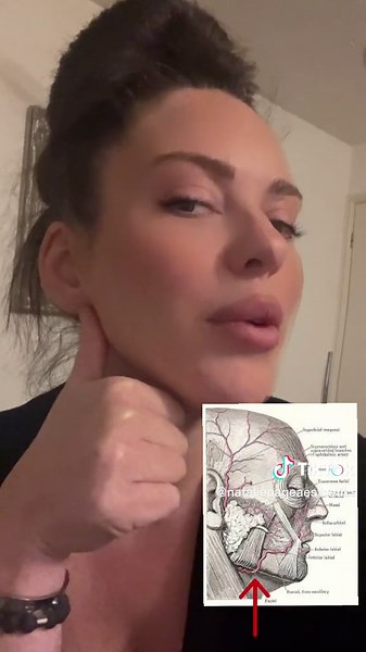 Understanding the Main Facial Artery for Jawline Injections