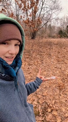 I'm very excited to try to establish a Barefoot bath. We will see how it goes. stay tuned 😁 #barefootpath #barefoot #campground #michigan #campgroundlife