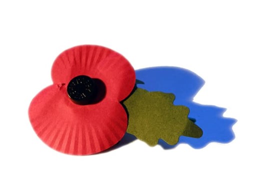 Bexhill on Sea Poppy Appeal Volunteer Awards