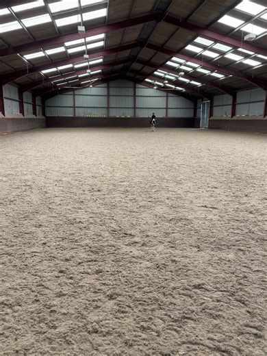 First time riding with double Reins 🦄 Thankyou @Chloe🤍 for letting me practice with scooby 💖 #bestboy #fyp #doublereins #friends