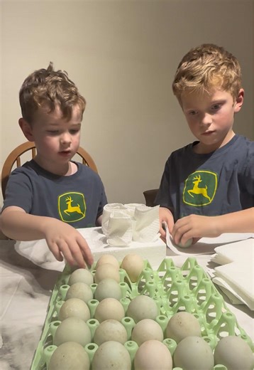 Packing some more Indian Runner Duck hatching egg orders #hatchingeggs #ducks #orders #johndeere #entrepreneur