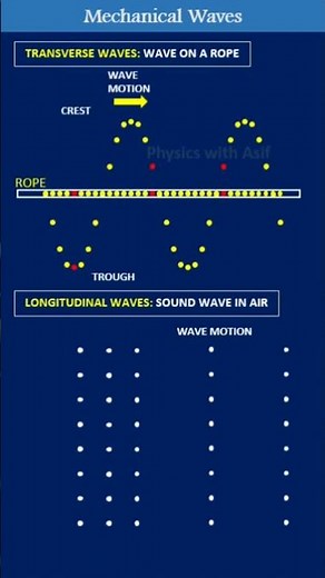 Mechanical waves: Transverse waves Vs Longitudinal waves #physicsshorts #waves #exam