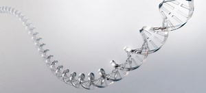 PRODUCTS | maab Group