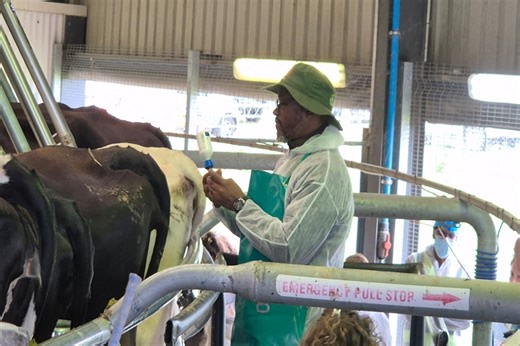 KZN agriculture dept says over 54 000 cattle vaccinated against FMD - SABC News - Breaking news, special reports, world, business, sport coverage of all South African current events. Africa's news leader.