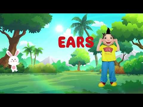 Heads and Shoulders | Kids Action Song & Nursery Rhyme by Tumble Tots