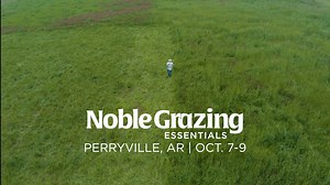 41K views · 334 reactions | High stock density grazing is one of the...