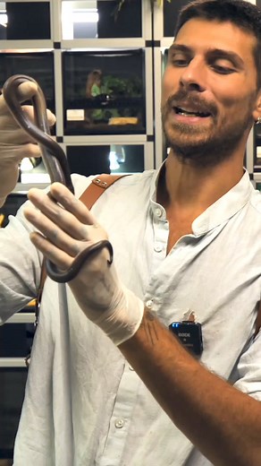 3.9K views · 84 reactions | L'iridescence c'est quoi ? #science #sciences #incurieuxwetrust | CurieuxLive | Facebook