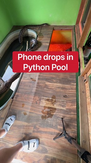 My Phone Drops In The Python Pool!!! 😭🐍 | Corbin Maxey