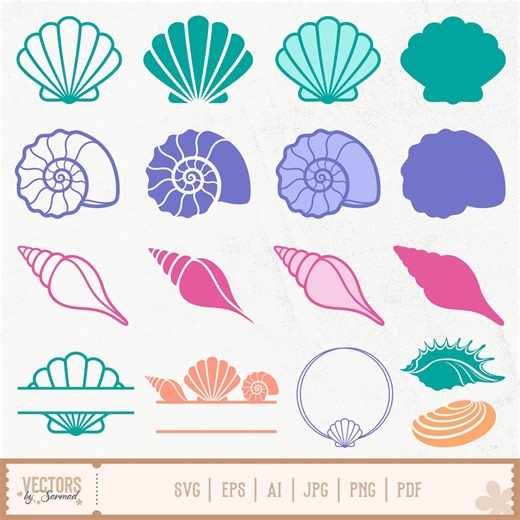 Seashell SVG Bundle, Spiral Shell Svg, Conch Shell, Clam Shell, Layered Cricut Files, Seashell Outline, Seashell Silhouette, Seashell Vector - Etsy