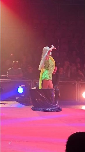 Magic at the Circus! ✨🎪 Incredible Instant Outfit Change!