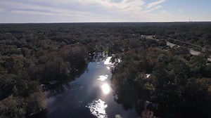 Withlacoochee River. | Alex Figueroa- My Florida Wildlife Journal