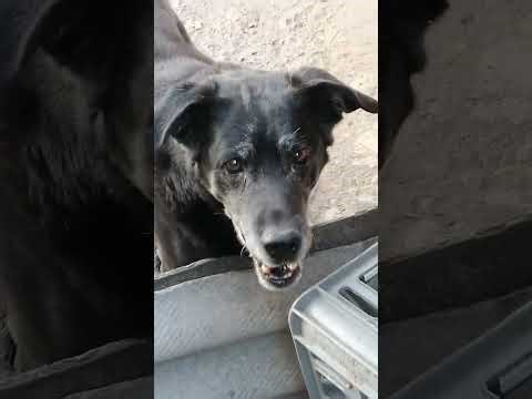 #video #art#shorts #Reels#boombapbeats#ytubeshorts