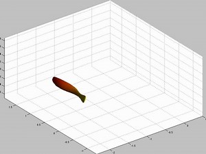 Simulation of a swimming fish