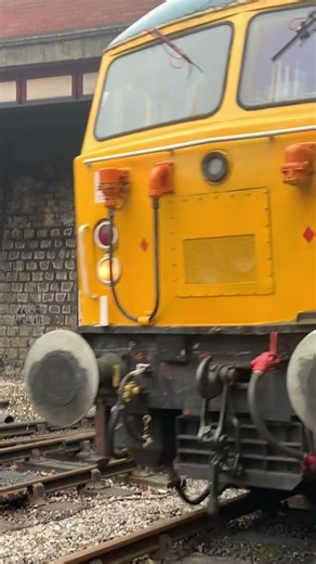 Class 56006 got changed into 56004 passing bury tunnel with amazing br mini logo paint!