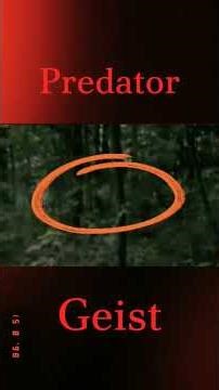 Predator oder Geist ?