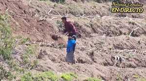 8.1K views · 170 reactions | LAS ENSEÑANZAS DEL ABUELO Y EL TRABAJO...