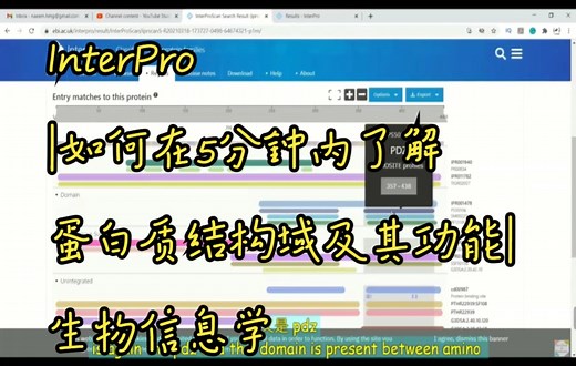 B6.InterPro |如何在5分钟内了解蛋白质结构域及其功能|生物信息学