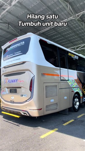 Bus Mania: Efisiensi Transportasi Baru