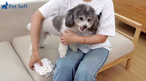 Pet Soft Dog Diapers Male - Disposable Male Dog Wraps Wetness Indicator, Ultra Absorbent Doggie Diapers Comfortable for Incontinence Excitable Urination, 20pcs Large