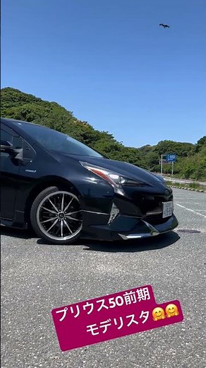 プリウス50前期モデリスタ😆