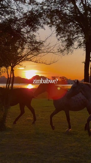 Are you ready to experience the magic of Zimbabwe together?! 🇿🇼 📅 November 16th-24th 📍Rocky Ranch, Victoria Falls Chobe National Park, Botswana 💵 $2899 USD 👥 10 spots available! This itinerary is the perfect mixture of relaxing and resetting in nature on a 50,000 acre ranch with free roaming wildlife, and then venturing up to Victoria Falls for the adventure enthusiasts and thrill seekers! You’ll spend your days doing horseback safaris, exploring the African bush, enjoying picnics bbq nigh