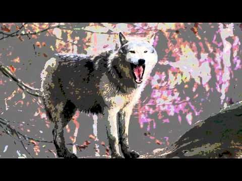 Big Country - Eiledon (With Lyrics)